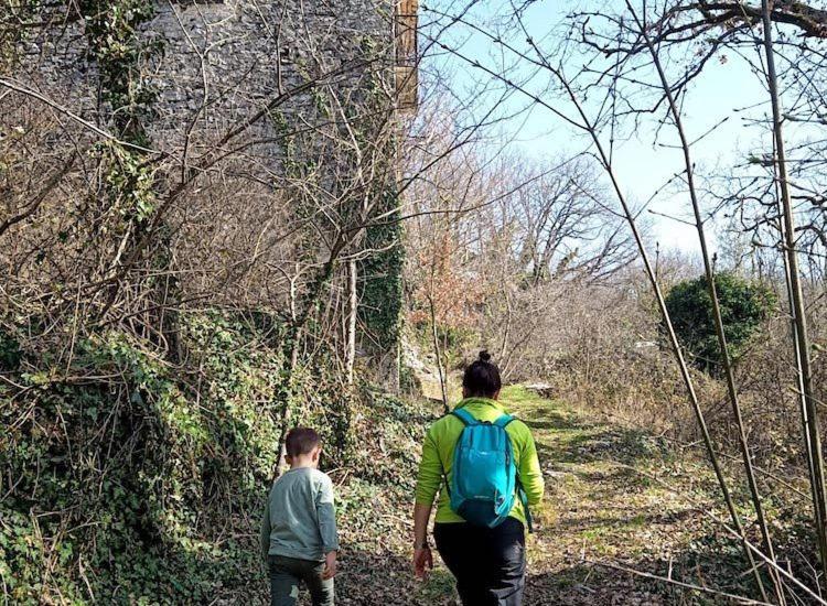 Agriturismo La Ginestra Cercemaggiore Εξωτερικό φωτογραφία