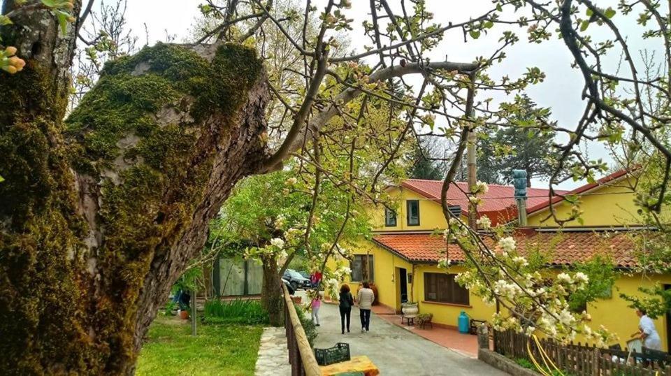 Agriturismo La Ginestra Cercemaggiore Εξωτερικό φωτογραφία