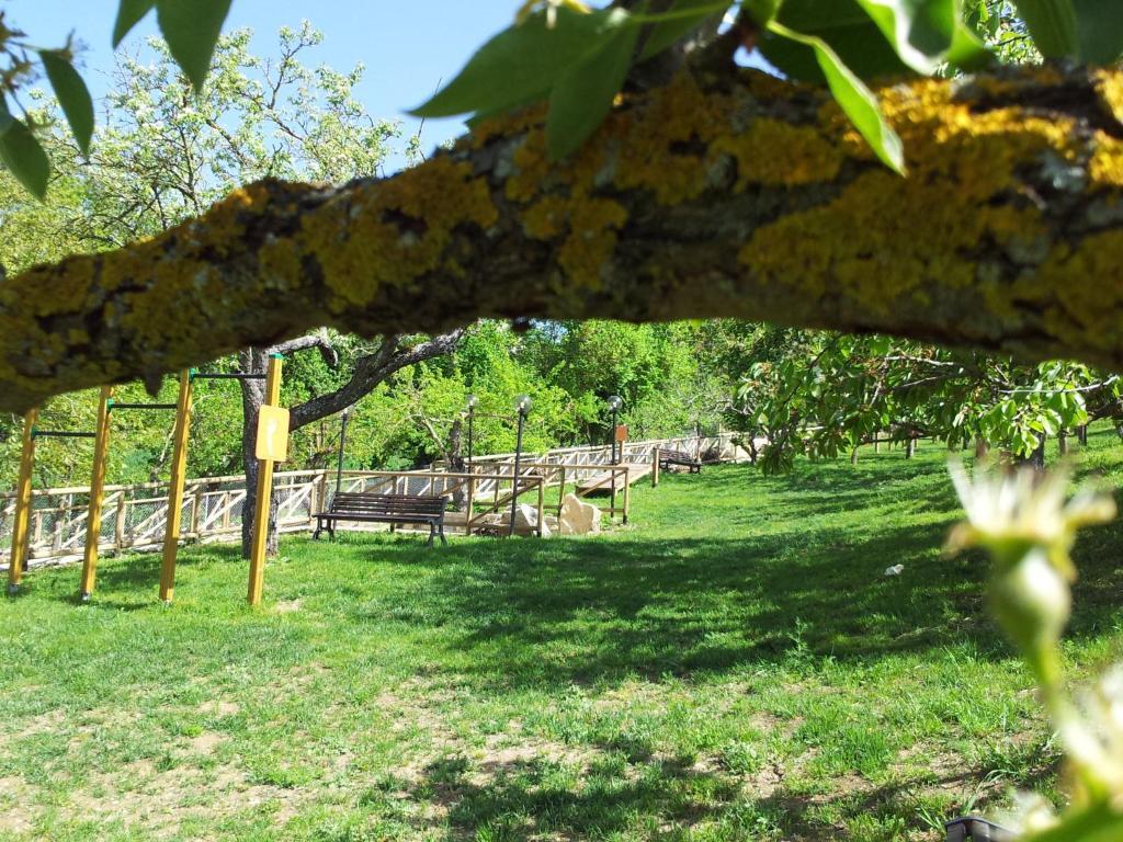 Agriturismo La Ginestra Cercemaggiore Εξωτερικό φωτογραφία